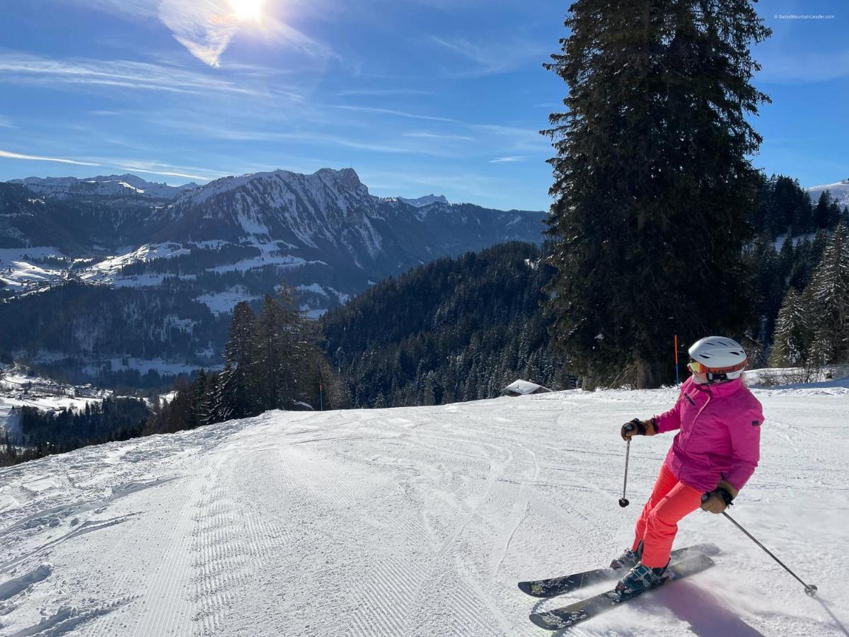 Bed & Breakfast L'Epicea Leysin Exterior foto